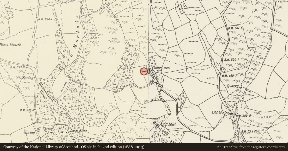 Ordnance Survey six-inch map, 2nd edition (1888–1913) covering the location of Goitre Wen Farmyard: Cartsheds and Sties, Llangennech, Carmarthenshire, with a pin at the register's coordinates