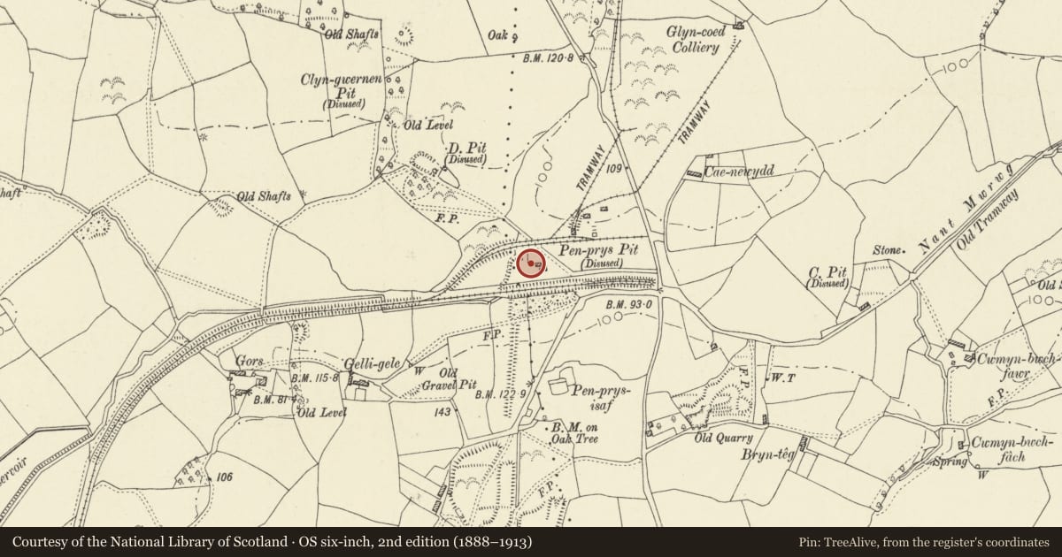 Ordnance Survey six-inch map, 2nd edition (1888–1913) covering the location of Cornish Engine House of Penprys Colliery, Llangennech, Carmarthenshire, with a pin at the register's coordinates