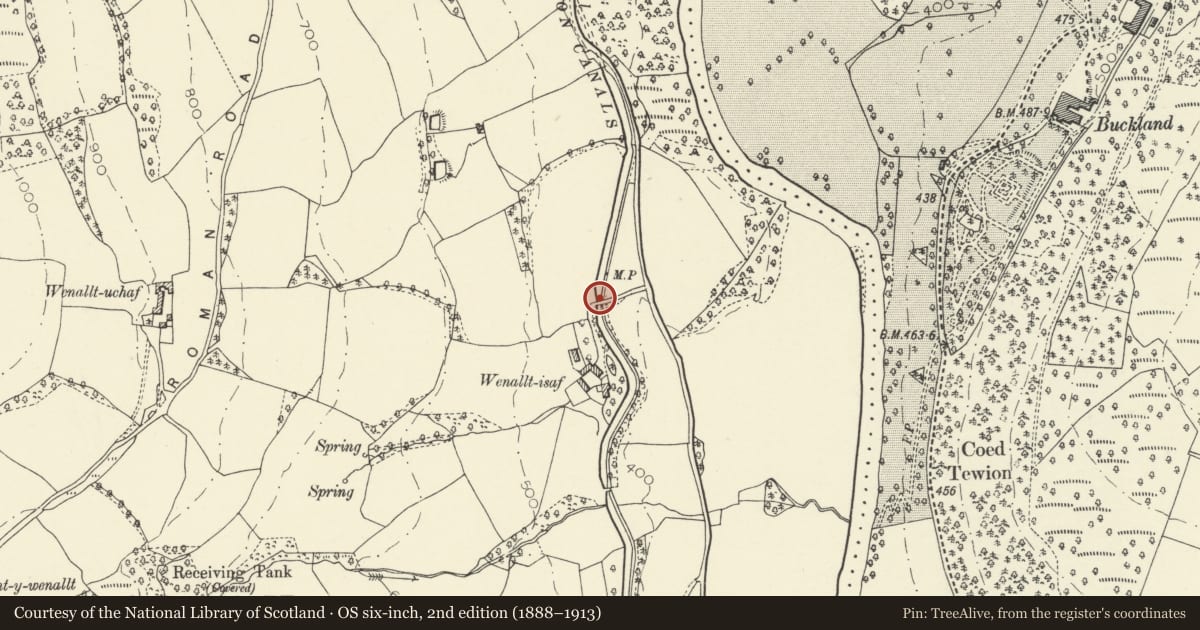 Ordnance Survey six-inch map, 2nd edition (1888–1913) covering the location of Wenallt Upper Bridge (Canal Bridge No.141), Talybont-on-Usk, Powys, with a pin at the register's coordinates