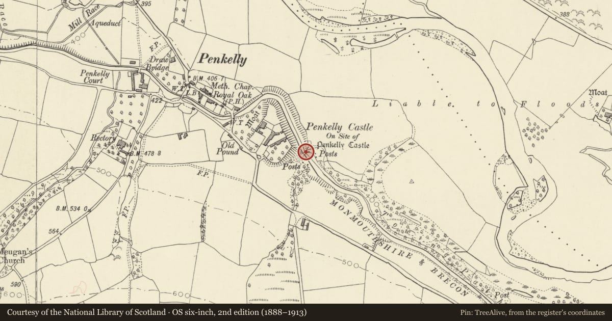 Ordnance Survey six-inch map, 2nd edition (1888–1913) covering the location of Castle Bridge (Canal Bridge No. 152), Talybont-on-Usk, Powys, with a pin at the register's coordinates