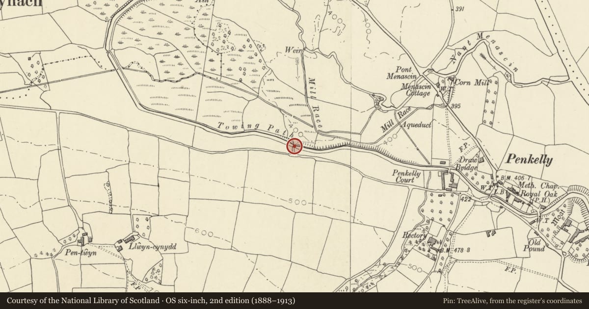 Ordnance Survey six-inch map, 2nd edition (1888–1913) covering the location of Low Bridge (Canal Bridge No.156), Talybont-on-Usk, Powys, with a pin at the register's coordinates