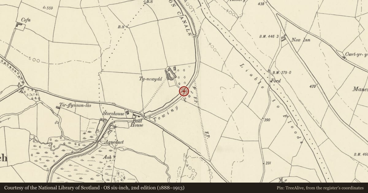 Ordnance Survey six-inch map, 2nd edition (1888–1913) covering the location of Ty Newydd Lower Bridge (Canal Bridge No. 159), Talybont-on-Usk, Powys, with a pin at the register's coordinates