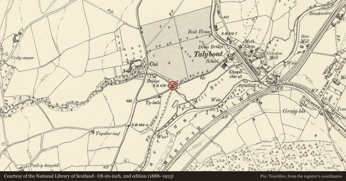 Ordnance Survey six-inch map, 2nd edition (1888–1913) covering the location of Bridge over Nant Cui, Talybont-on-Usk, Powys, with a pin at the register's coordinates