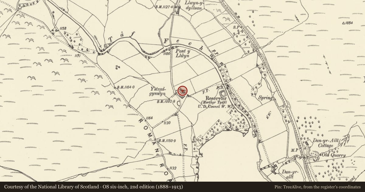 Ordnance Survey six-inch map, 2nd edition (1888–1913) covering the location of Ystradgynwyn, Talybont-on-Usk, Powys, with a pin at the register's coordinates