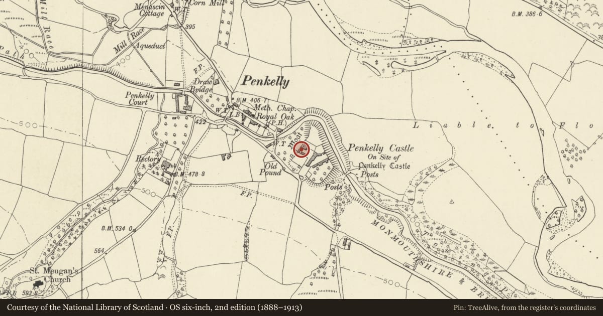 Ordnance Survey six-inch map, 2nd edition (1888–1913) covering the location of Courtyard range immediately SW of Castle Farmhouse, Talybont-on-Usk, Powys, with a pin at the register's coordinates