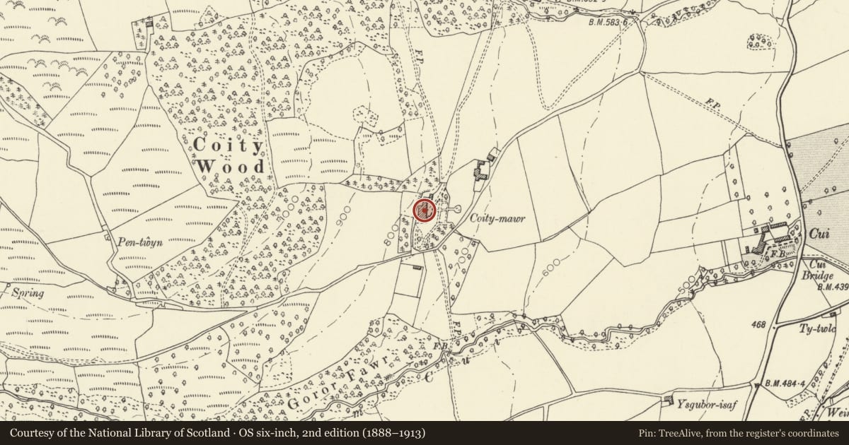 Ordnance Survey six-inch map, 2nd edition (1888–1913) covering the location of Coity Mawr, Talybont-on-Usk, Powys, with a pin at the register's coordinates