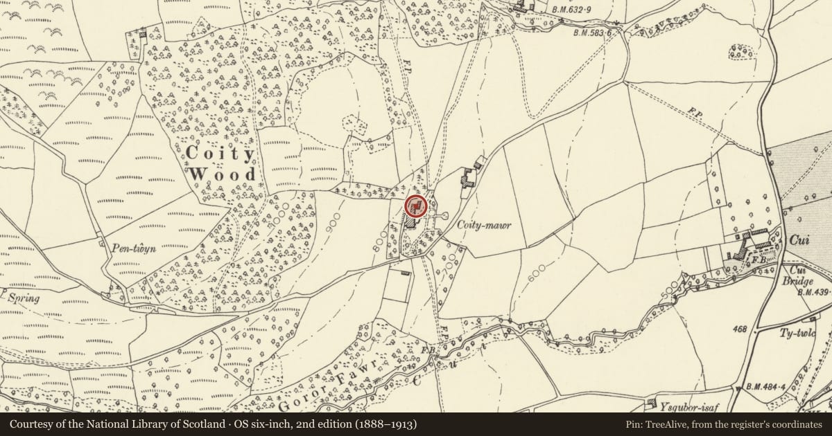 Ordnance Survey six-inch map, 2nd edition (1888–1913) covering the location of Cottage and barn range and courtyard wall at Coity Mawr, Talybont-on-Usk, Powys, with a pin at the register's coordinates