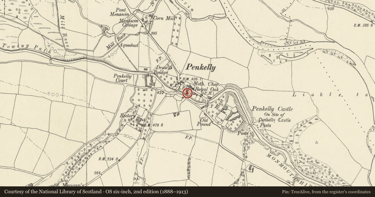 Ordnance Survey six-inch map, 2nd edition (1888–1913) covering the location of Canal store at Pencelli, Talybont-on-Usk, Powys, with a pin at the register's coordinates