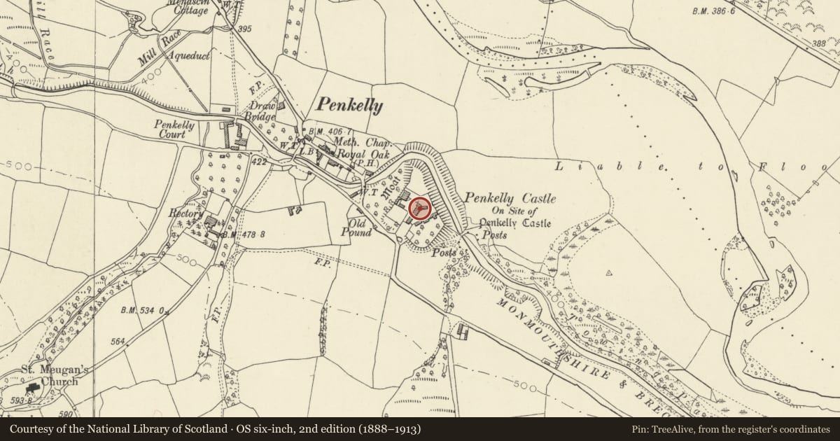 Ordnance Survey six-inch map, 2nd edition (1888–1913) covering the location of Barn range at Castle Farm, Talybont-on-Usk, Powys, with a pin at the register's coordinates