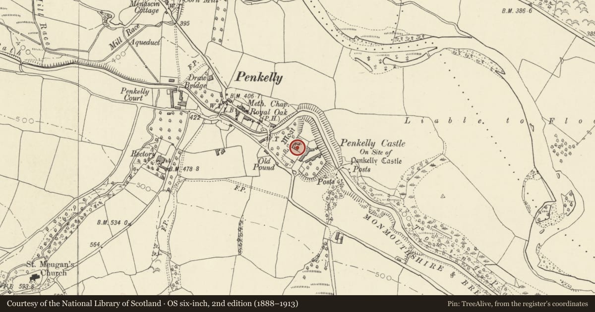 Ordnance Survey six-inch map, 2nd edition (1888–1913) covering the location of Granary at Castle Farm, Talybont-on-Usk, Powys, with a pin at the register's coordinates