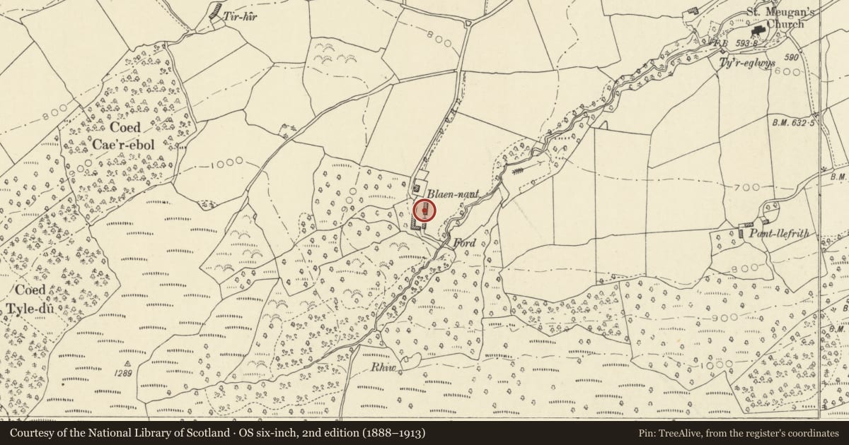 Ordnance Survey six-inch map, 2nd edition (1888–1913) covering the location of Sheepshed at Blaenant, Talybont-on-Usk, Powys, with a pin at the register's coordinates