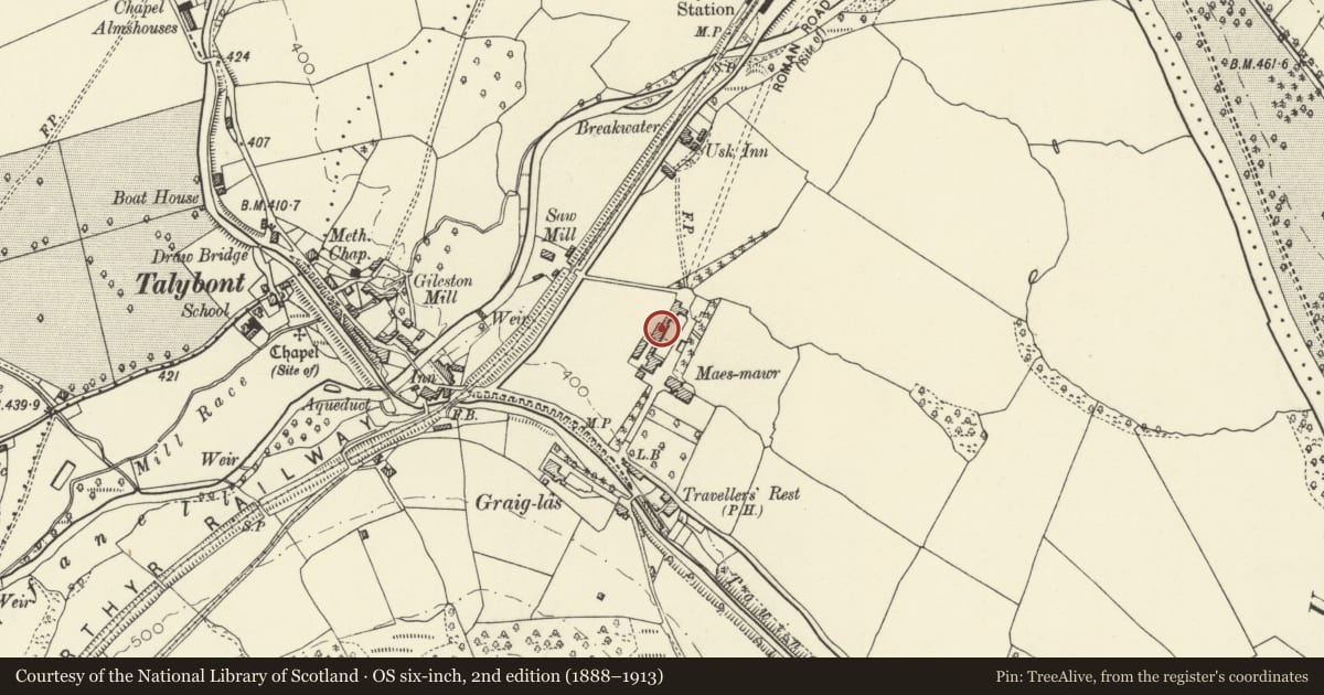 Ordnance Survey six-inch map, 2nd edition (1888–1913) covering the location of Barn range at Maes Mawr, Talybont-on-Usk, Powys, with a pin at the register's coordinates