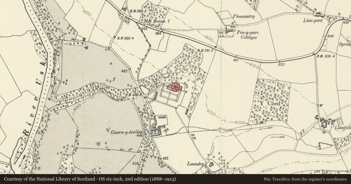 Ordnance Survey six-inch map, 2nd edition (1888–1913) covering the location of Walled garden and sheds N of Buckland Farm, Talybont-on-Usk, Powys, with a pin at the register's coordinates