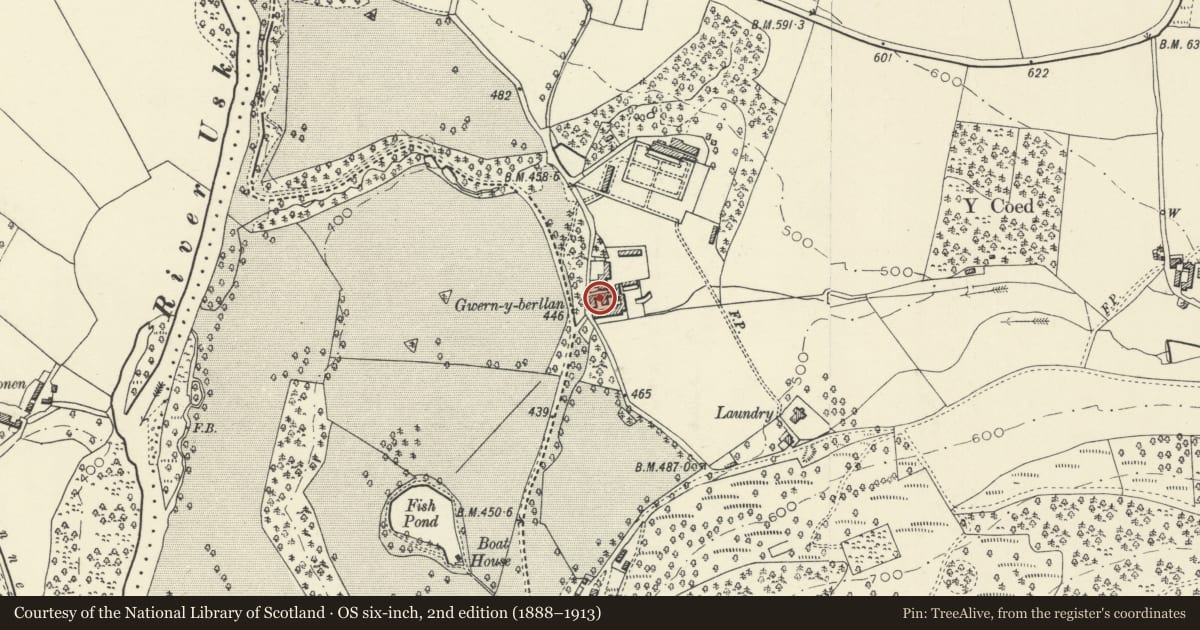 Ordnance Survey six-inch map, 2nd edition (1888–1913) covering the location of Barn and attached cartshed and granary at Buckland Farm, Talybont-on-Usk, Powys, with a pin at the register's coordinates