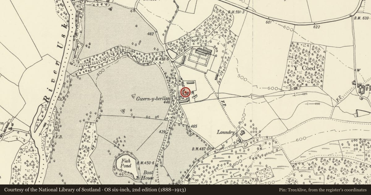Ordnance Survey six-inch map, 2nd edition (1888–1913) covering the location of Feedmill at Buckland Farm, Talybont-on-Usk, Powys, with a pin at the register's coordinates