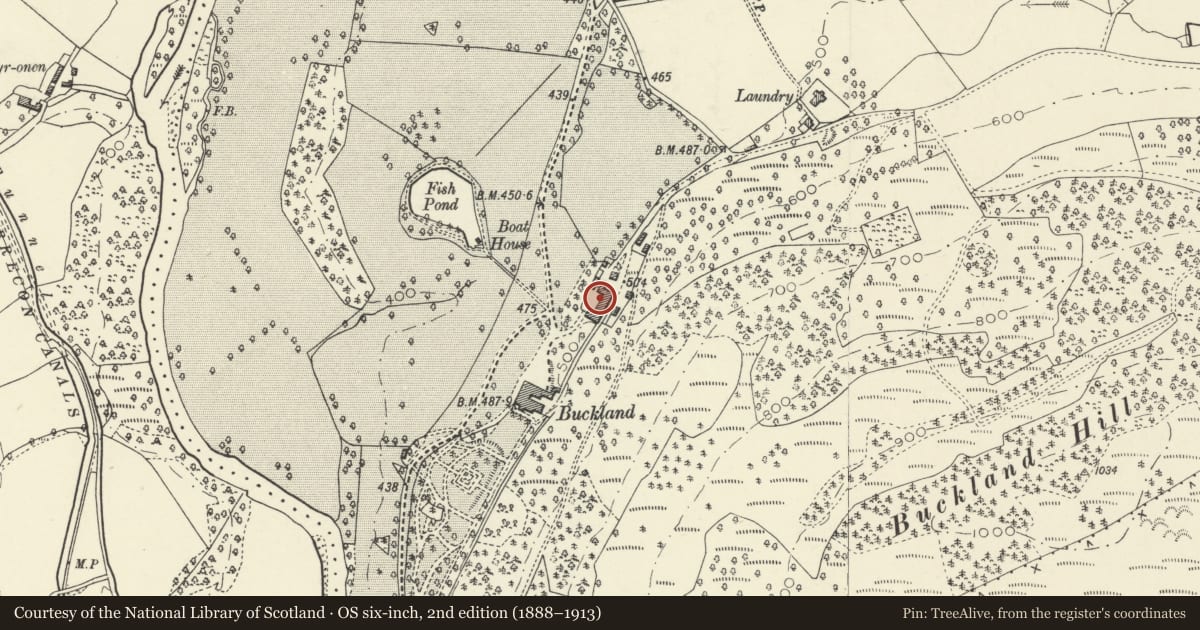 Ordnance Survey six-inch map, 2nd edition (1888–1913) covering the location of Coachhouse and attached stable ranges at Buckland Hall, Talybont-on-Usk, Powys, with a pin at the register's coordinates