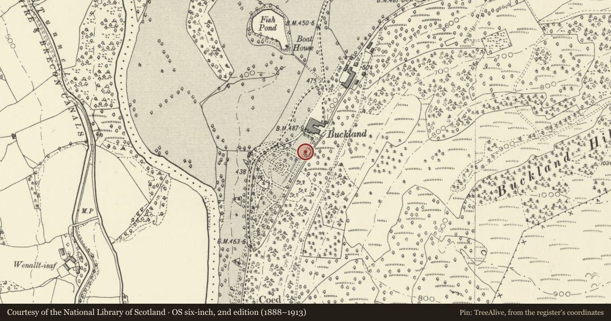 Ordnance Survey six-inch map, 2nd edition (1888–1913) covering the location of Terraced steps in Buckland Hall Garden, Talybont-on-Usk, Powys, with a pin at the register's coordinates
