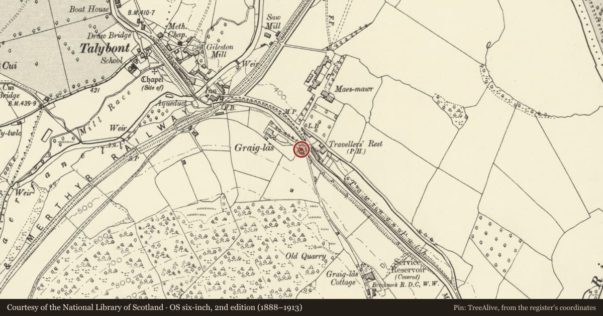 Ordnance Survey six-inch map, 2nd edition (1888–1913) covering the location of Glynderi, Talybont-on-Usk, Powys, with a pin at the register's coordinates