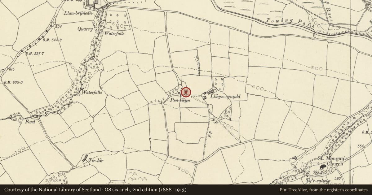 Ordnance Survey six-inch map, 2nd edition (1888–1913) covering the location of Pentwyn, Talybont-on-Usk, Powys, with a pin at the register's coordinates