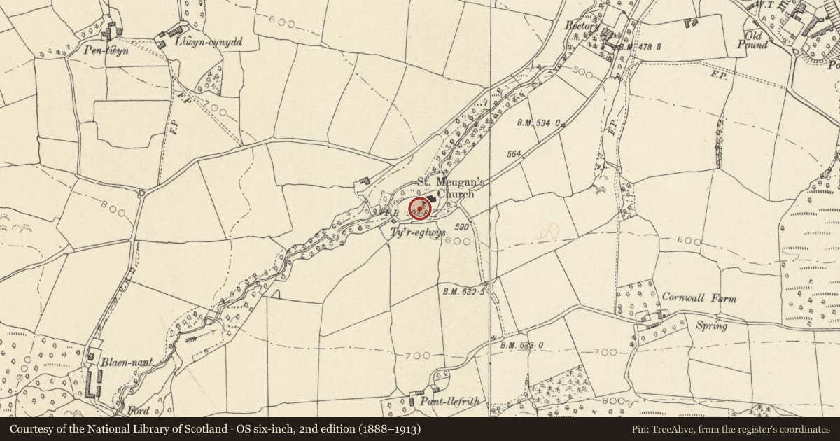 Ordnance Survey six-inch map, 2nd edition (1888–1913) covering the location of Group of 4 chest tombs within railed enclosure to SW of church of St Meugan, Talybont-on-Usk, Powys, with a pin at the register's coordinates
