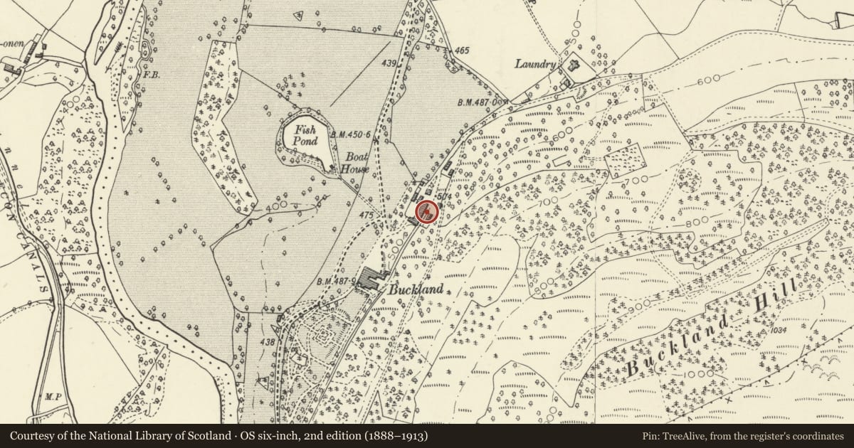 Ordnance Survey six-inch map, 2nd edition (1888–1913) covering the location of Ice house at Buckland Hall, Talybont-on-Usk, Powys, with a pin at the register's coordinates