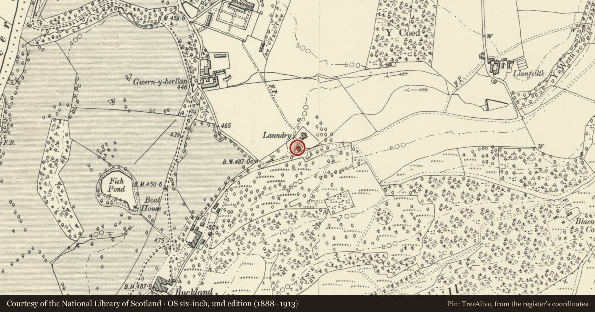 Ordnance Survey six-inch map, 2nd edition (1888–1913) covering the location of Little Orchard, Talybont-on-Usk, Powys, with a pin at the register's coordinates