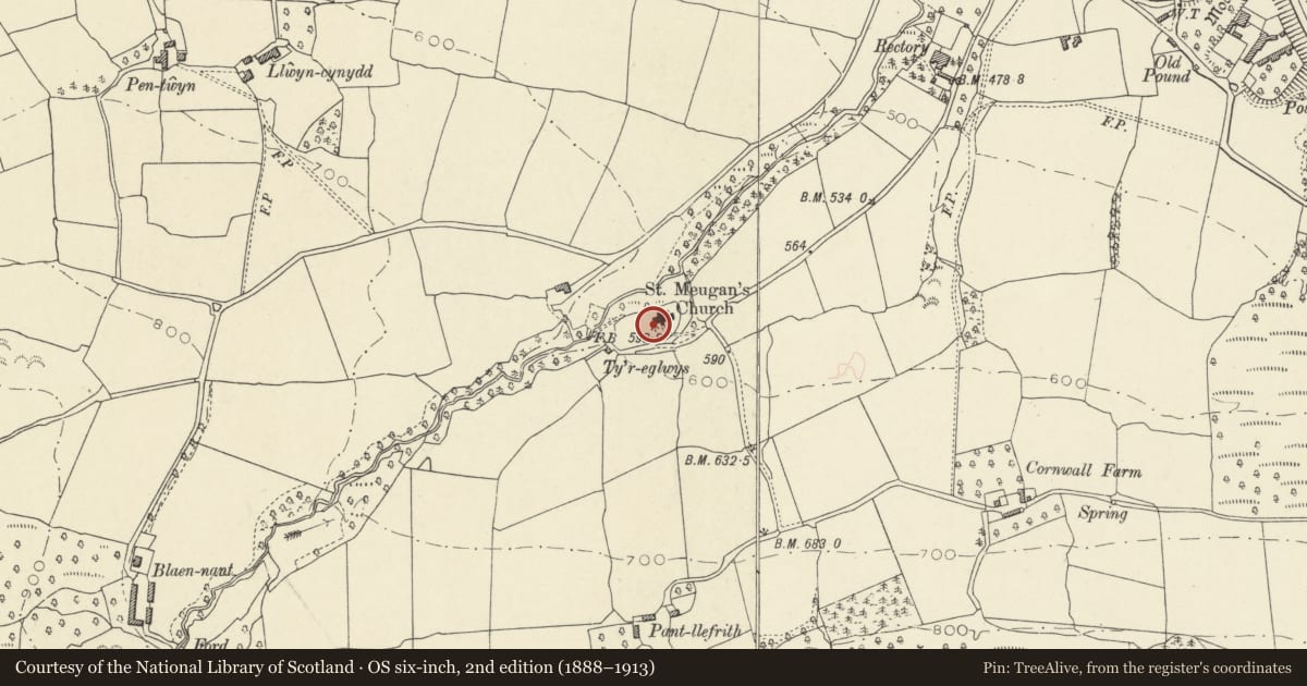 Ordnance Survey six-inch map, 2nd edition (1888–1913) covering the location of Group of 3 chest tombs S of church of St Meugan, Talybont-on-Usk, Powys, with a pin at the register's coordinates