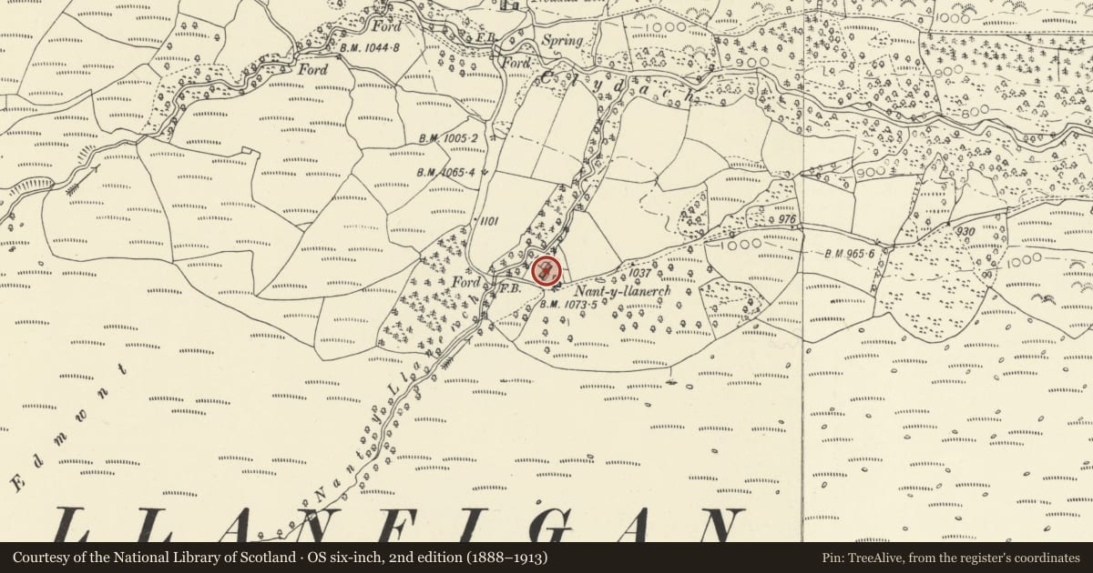 Ordnance Survey six-inch map, 2nd edition (1888–1913) covering the location of Nantllanerch farmhouse and attached farm range, Talybont-on-Usk, Powys, with a pin at the register's coordinates