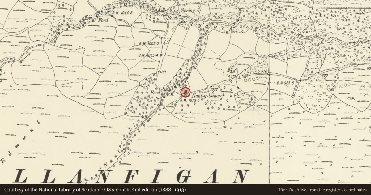 Ordnance Survey six-inch map, 2nd edition (1888–1913) covering the location of Barn at Nantllanerch, Talybont-on-Usk, Powys, with a pin at the register's coordinates
