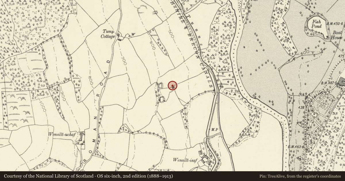 Ordnance Survey six-inch map, 2nd edition (1888–1913) covering the location of Ashford Cottage, Talybont-on-Usk, Powys, with a pin at the register's coordinates