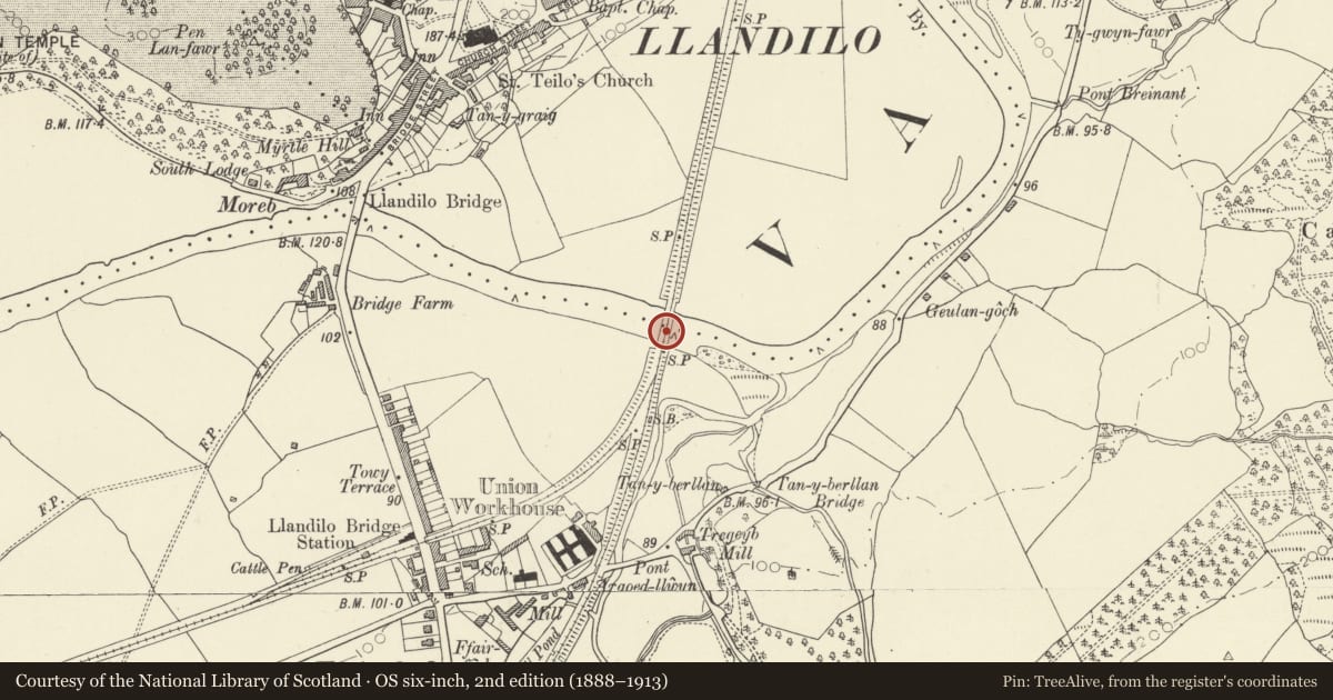 Ordnance Survey six-inch map, 2nd edition (1888–1913) covering the location of Llandeilo Railway Bridge (partly in Llandeilo community), Cyngor Bro Dyffryn Cennen, Carmarthenshire, with a pin at the register's coordinates