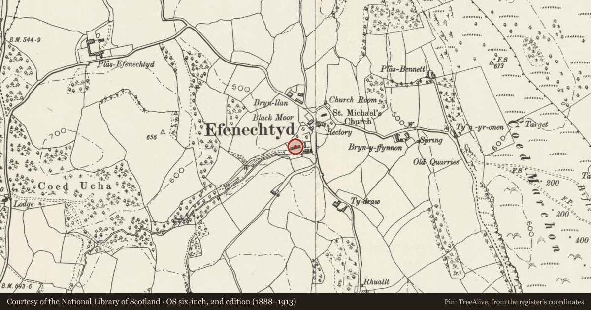 Ordnance Survey six-inch map, 2nd edition (1888–1913) covering the location of Agricultural Range to the W of Plas-yn-Llan, Efenechtyd, Denbighshire, with a pin at the register's coordinates