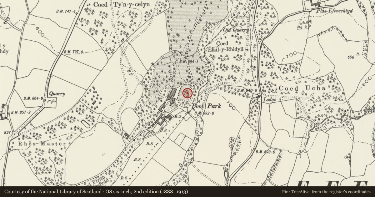 Ordnance Survey six-inch map, 2nd edition (1888–1913) covering the location of Sundial at Pool Park, Efenechtyd, Denbighshire, with a pin at the register's coordinates
