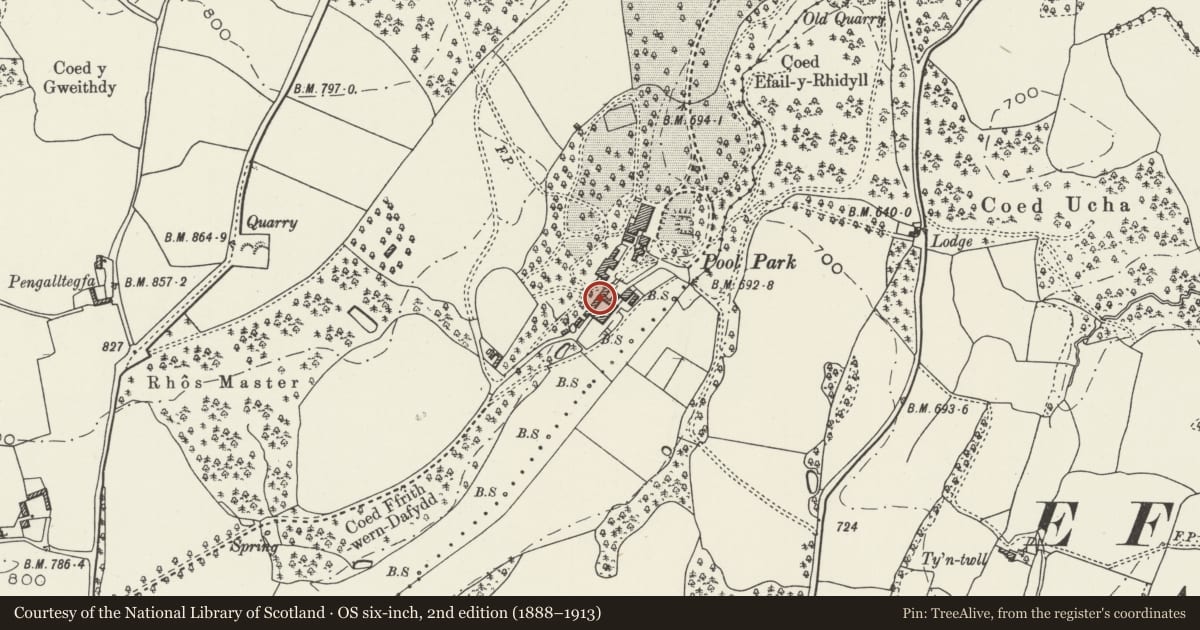 Ordnance Survey six-inch map, 2nd edition (1888–1913) covering the location of Quadrangular Agricultural Complex at Pool Park Farm including associated Farmhouse, Efenechtyd, Denbighshire, with a pin at the register's coordinates