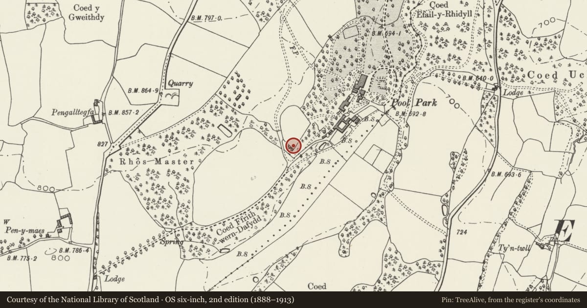 Ordnance Survey six-inch map, 2nd edition (1888–1913) covering the location of Walls to Former Kitchen Garden at Pool Park including Former Gardeners' Bothy Adjoining to S, Efenechtyd, Denbighshire, with a pin at the register's coordinates