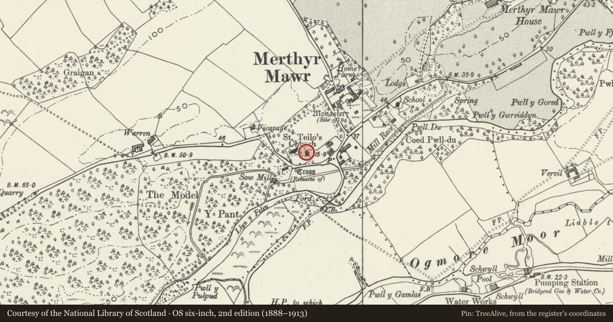 Ordnance Survey six-inch map, 2nd edition (1888–1913) covering the location of Nicholl family tomb in churchyard of St Teilo, Merthyr Mawr, Bridgend, with a pin at the register's coordinates