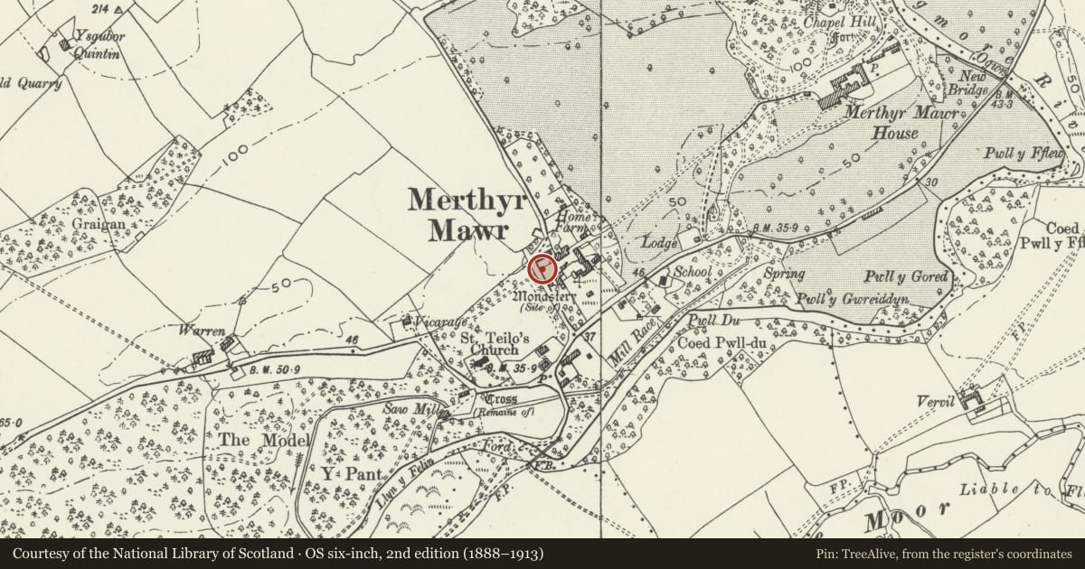 Ordnance Survey six-inch map, 2nd edition (1888–1913) covering the location of Gate and Gate Posts at entrance to Home Farm, Merthyr Mawr, Bridgend, with a pin at the register's coordinates