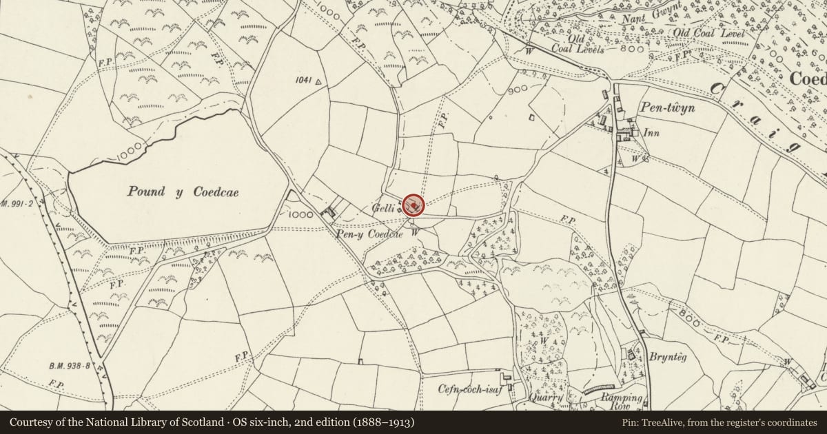 Ordnance Survey six-inch map, 2nd edition (1888–1913) covering the location of Barn at Gelli, Crumlin, Caerphilly, with a pin at the register's coordinates