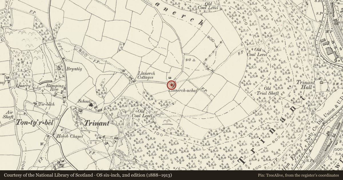 Ordnance Survey six-inch map, 2nd edition (1888–1913) covering the location of Llanerch-uchaf farmhouse and attached farm range, Crumlin, Caerphilly, with a pin at the register's coordinates