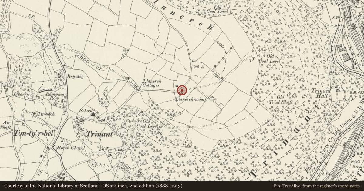Ordnance Survey six-inch map, 2nd edition (1888–1913) covering the location of Barn at Llanerch-uchaf, Crumlin, Caerphilly, with a pin at the register's coordinates