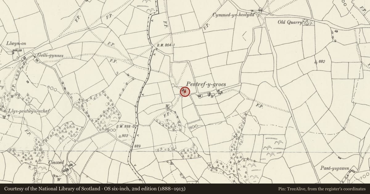 Ordnance Survey six-inch map, 2nd edition (1888–1913) covering the location of Barn and byre range at Pen-y-groes 3, Crumlin, Caerphilly, with a pin at the register's coordinates