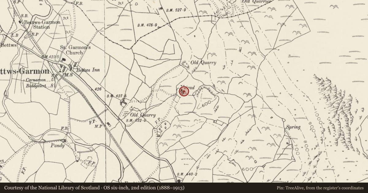 Ordnance Survey six-inch map, 2nd edition (1888–1913) covering the location of Ystrad-uchaf, Betws Garmon, Gwynedd, with a pin at the register's coordinates