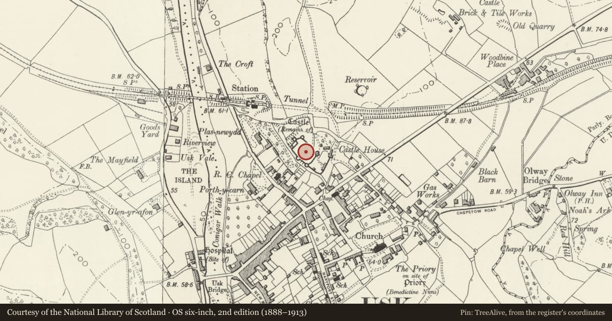 Ordnance Survey six-inch map, 2nd edition (1888–1913) covering the location of Usk Castle and precincts, Monmouthshire, with a pin at the register's coordinates