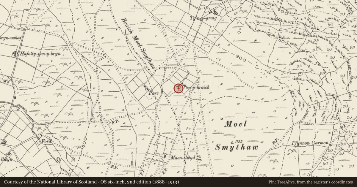 Ordnance Survey six-inch map, 2nd edition (1888–1913) covering the location of Drystone-walled Field System at Tan-y-braich, Betws Garmon, Gwynedd, with a pin at the register's coordinates