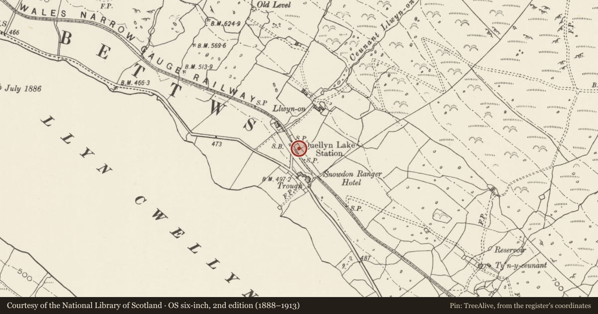 Ordnance Survey six-inch map, 2nd edition (1888–1913) covering the location of Snowdon Ranger Station, Betws Garmon, Gwynedd, with a pin at the register's coordinates