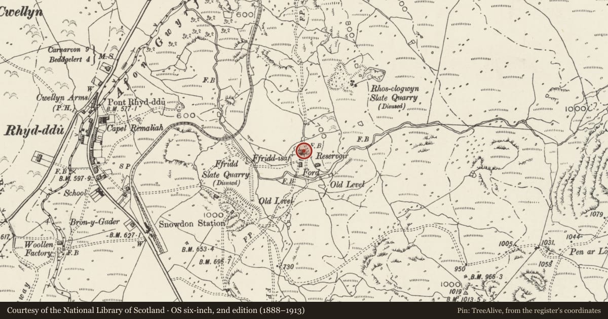 Ordnance Survey six-inch map, 2nd edition (1888–1913) covering the location of Fridd-isaf, Betws Garmon, Gwynedd, with a pin at the register's coordinates