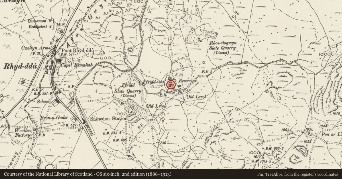 Ordnance Survey six-inch map, 2nd edition (1888–1913) covering the location of Cowhouse to South of Fridd-isaf, Betws Garmon, Gwynedd, with a pin at the register's coordinates