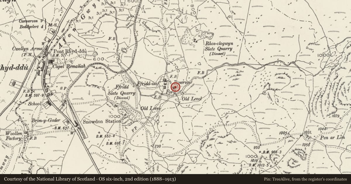 Ordnance Survey six-inch map, 2nd edition (1888–1913) covering the location of Cowhouse to South-east of Fridd-isaf, Betws Garmon, Gwynedd, with a pin at the register's coordinates