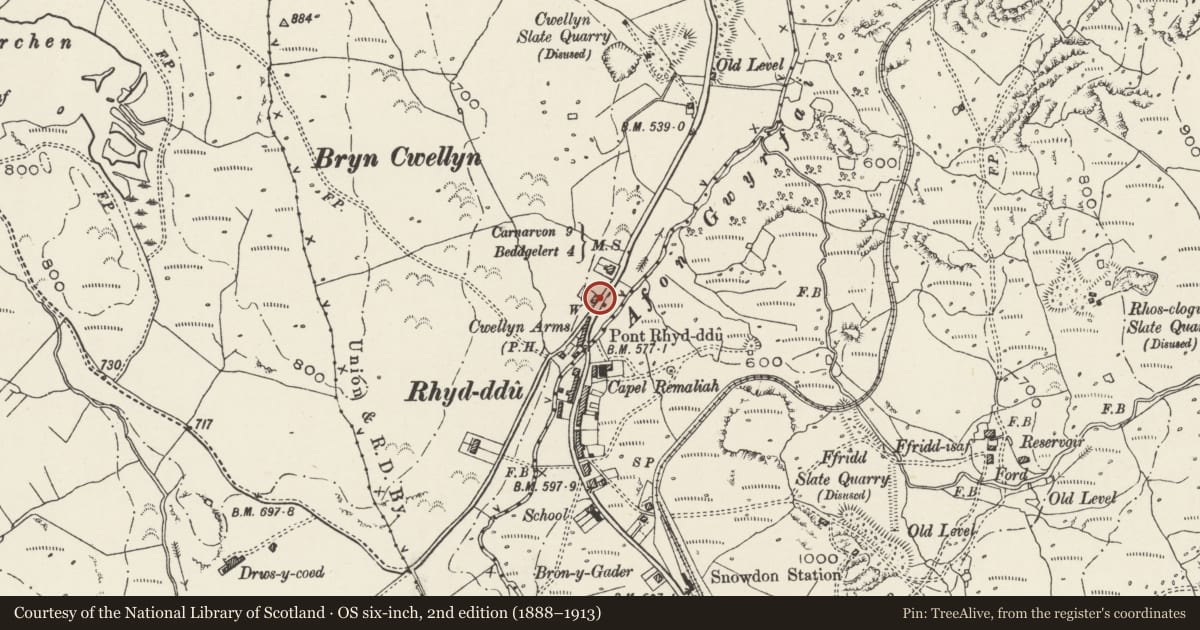 Ordnance Survey six-inch map, 2nd edition (1888–1913) covering the location of Slate Direction Indicators, Betws Garmon, Gwynedd, with a pin at the register's coordinates