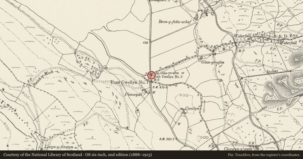 Ordnance Survey six-inch map, 2nd edition (1888–1913) covering the location of Pont Cwellyn No 1 and Pont Cwellyn No 2 (also known together as Pont Glan-yr-afon), Betws Garmon, Gwynedd, with a pin at the register's coordinates